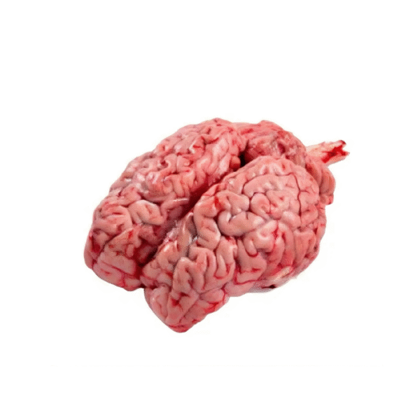 Beef Brain - Approx 2lb